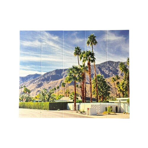 Ceramic Palm Springs Canyon Tiled Mural Wall Art Print Mid Century Modern