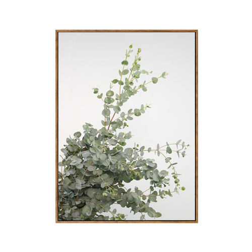 Eucalyptus Wood Framed Canvas Print 70 x 90 Wall Art Artwork