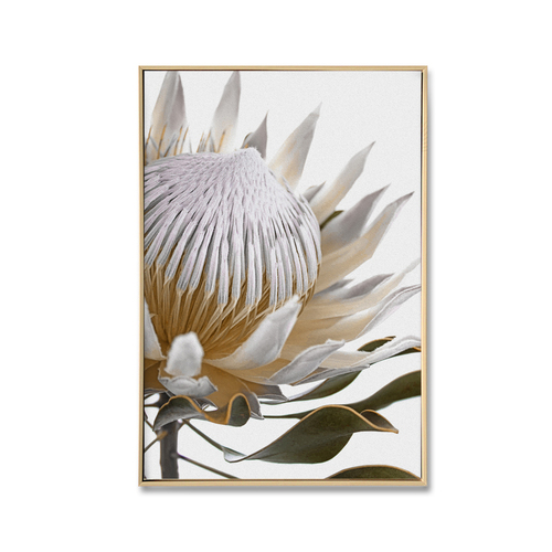 White Protea Wood Light Natural Framed Canvas Print 60 x 90 Wall Art Artwork